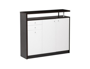 Shoe Case/Cabinet with Elevated Shelf